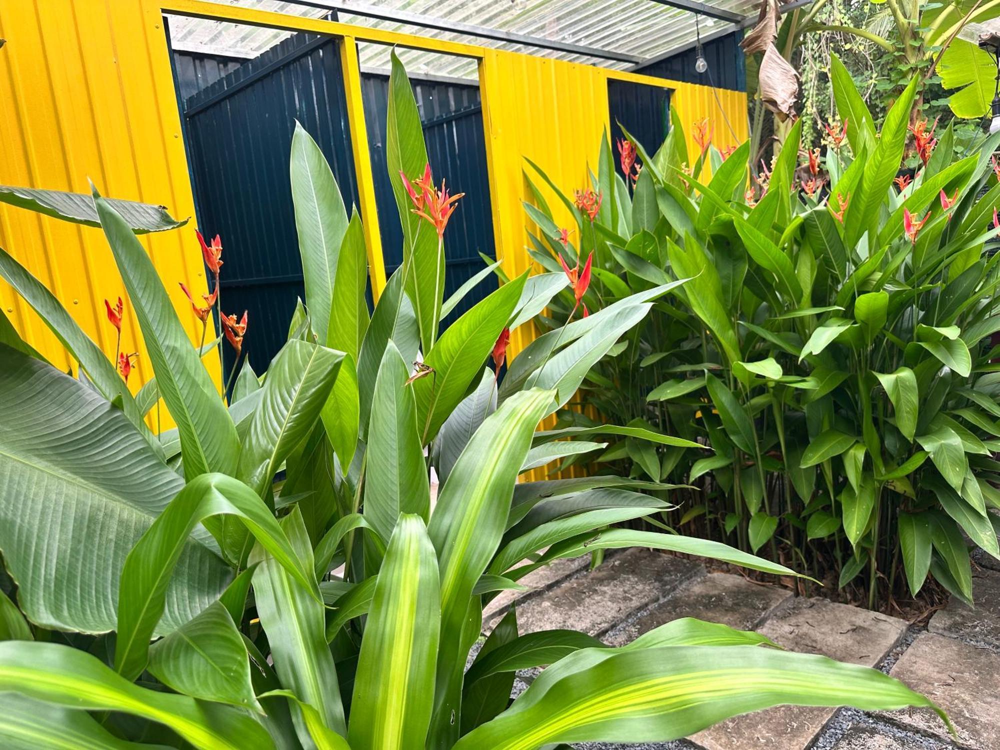 Hide Away Bungalows In Ben Tre City Luaran gambar