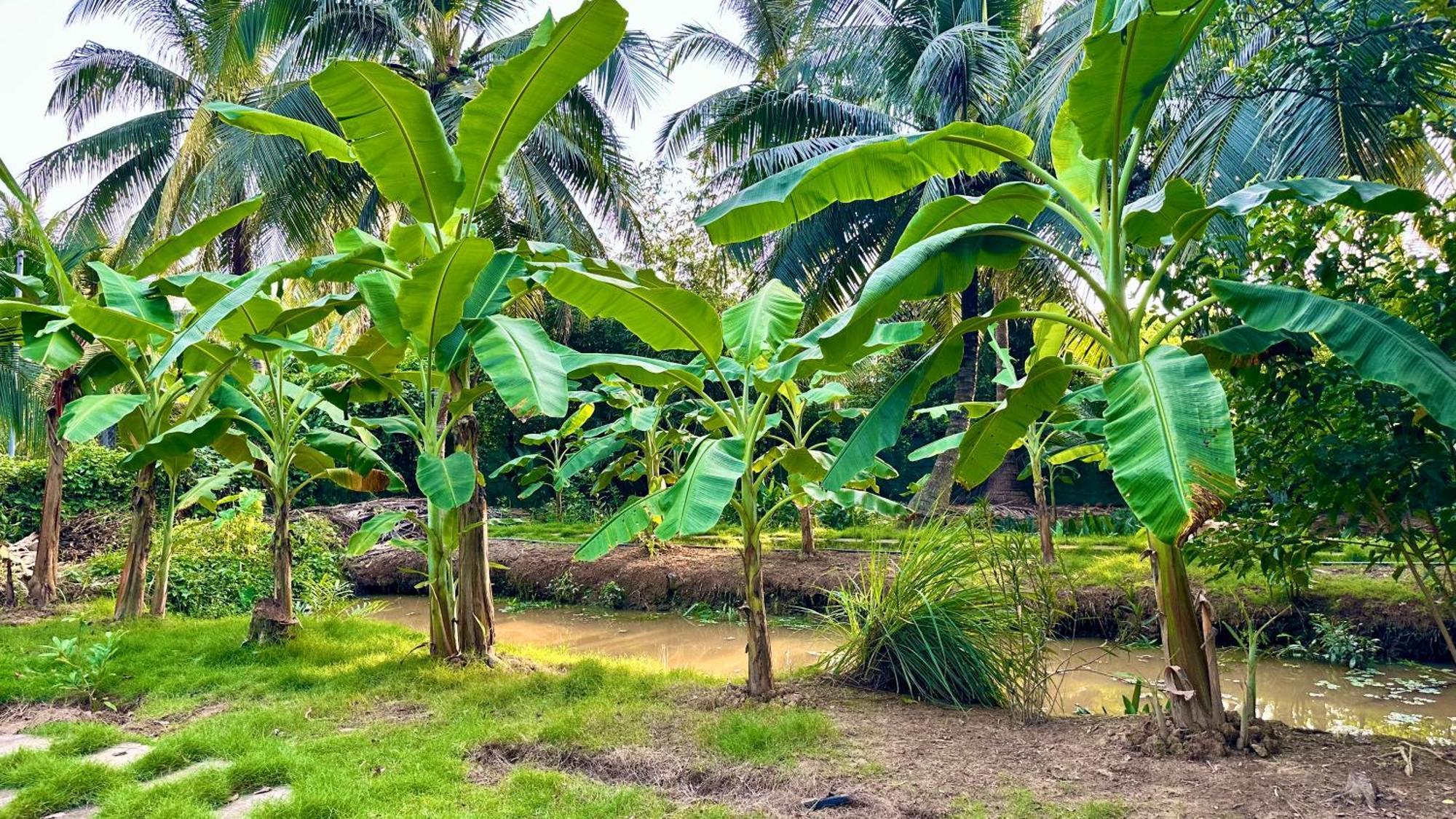 Hide Away Bungalows In Ben Tre City Luaran gambar