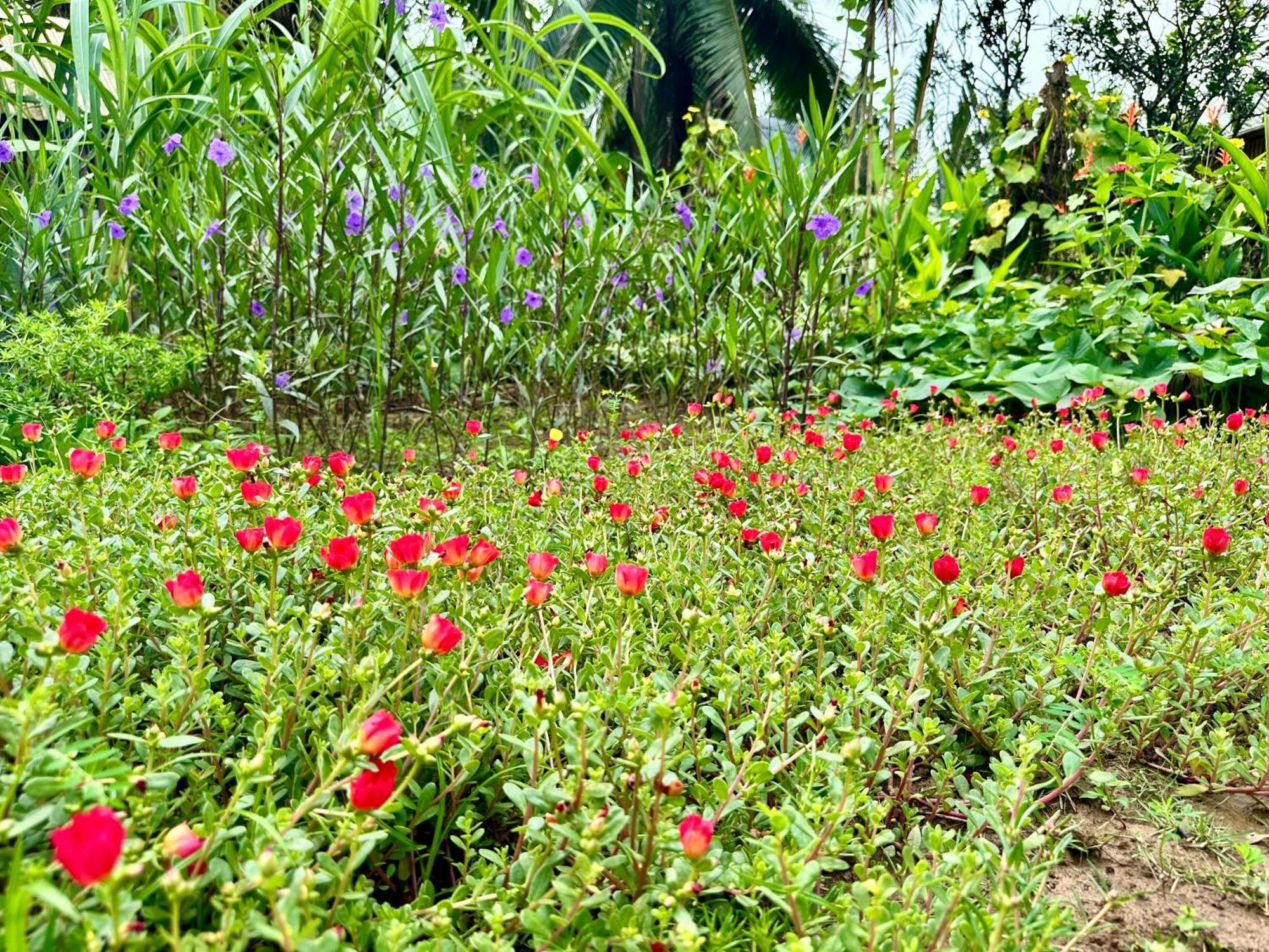 Hide Away Bungalows In Ben Tre City Luaran gambar
