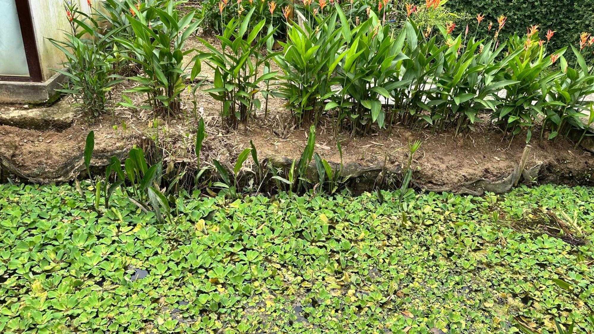 Hide Away Bungalows In Ben Tre City Luaran gambar